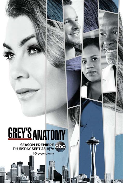 grey's anatomy torrentz|Grey’s Anatomy 14ª Temporada Completa Torrent (2017) .